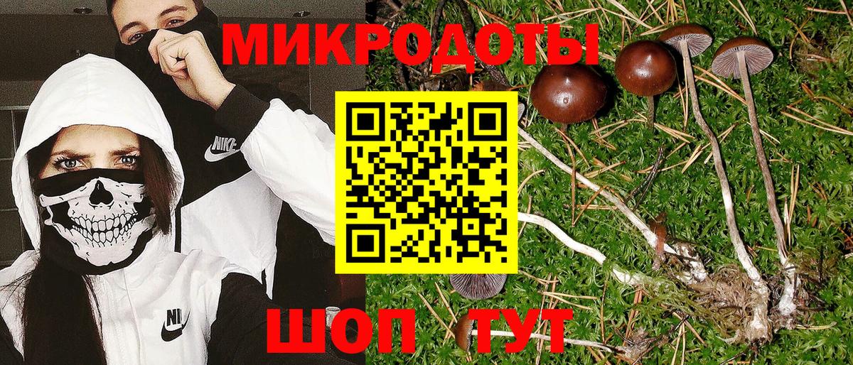 Конаково  Псилоцибиновые грибы мухоморы  Вход с VPN  Галлюциногенные грибы GOLDEN TEACHER 