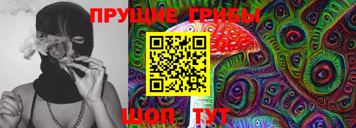 Псилоцибиновые грибы Psilocybine cubensis Конаково